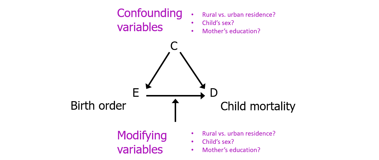 Causal diagram of birth order (E: “exposure”) on childhood mortality (D: “disease”)